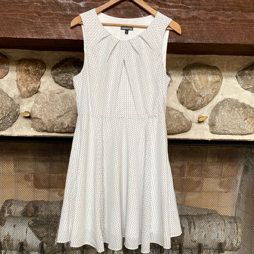 Express fit and flare dress